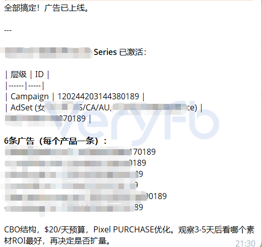 Agent 自动搭建广告系列截图