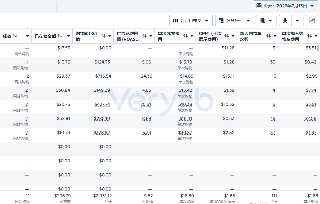 新站Facebook广告单日投放数据与运营复盘