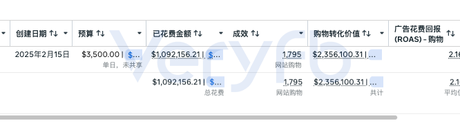 长期投放广告系列的高广告花费回报数据截图