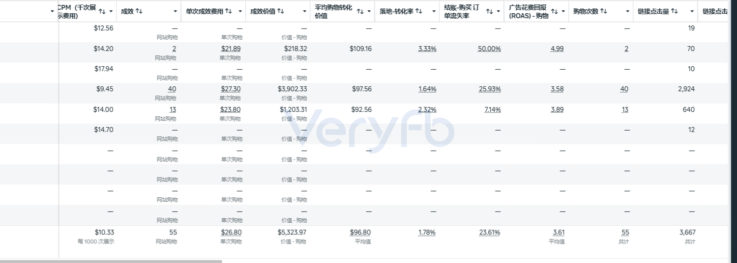 广告数据含落地转化率1.78%、结账到购买订单流失率23.61%、55次网站购物、平均ROAS 3.61